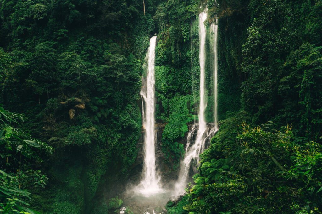 Giant waterfall rainforest